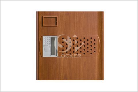 Wood Grain Wood Grain